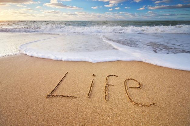 Life word on the sea sand Conceptual nature design