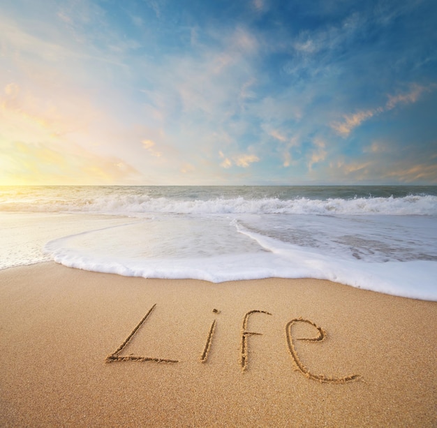 Life word on the sea sand Conceptual nature design