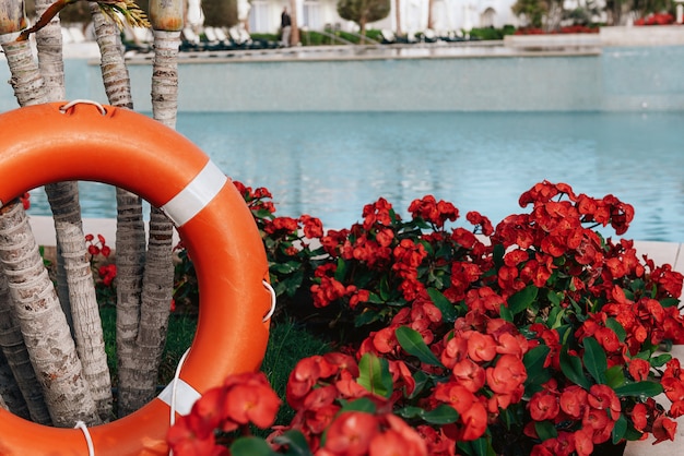 Lifebuoy standing next to the swimming pool