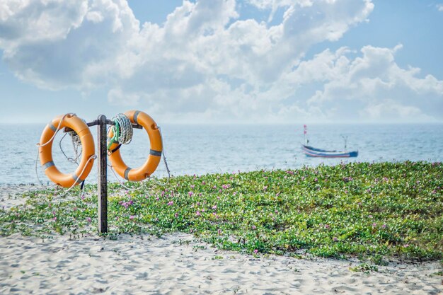 Lifebuoys on the background of the beach and the sea