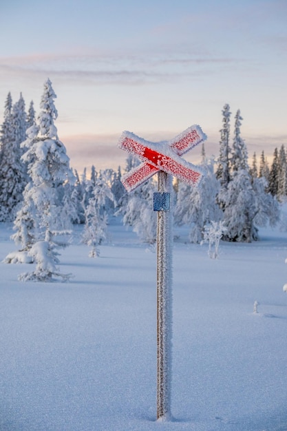写真 空に向かって雪で覆われたフィールドの救命士の十字架
