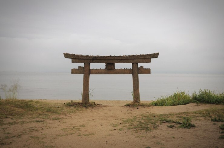 Photo 해변 에 있는 구명병 들 의 오두막