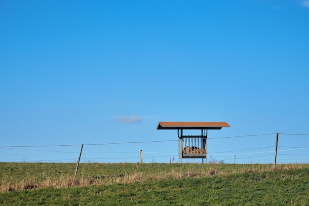 Lifeguard hut on field against clear blue sky