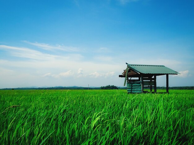 Lifeguard hut on field against sky