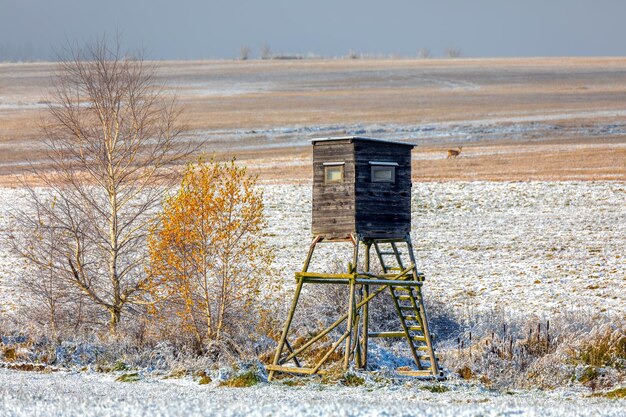 Lifeguard hut on field against sky