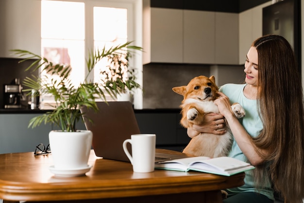 Lifestryle of girl freelancer and domestic Corgi dog at home Working at home with laptop Girl hug and play with lovely Welsh Corgi Pembroke in break at online work