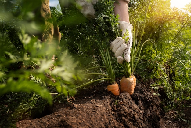 Foto stile di vita della persona ecofriendly