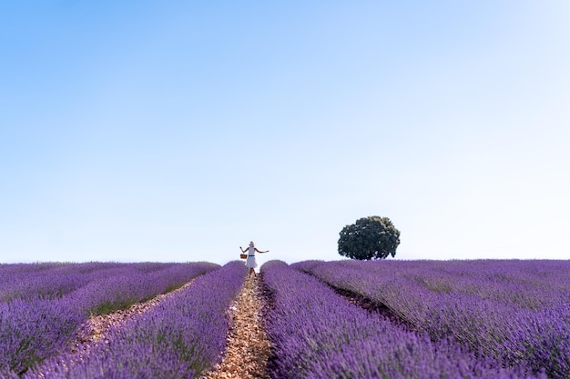 Lifestyle een vrouw in een zomers lavendelveld bloemen plukkend op het platteland