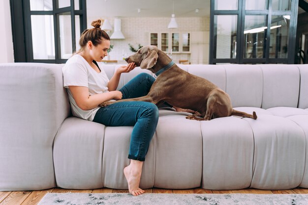 自宅で若い女性のライフスタイルの瞬間。居間で犬と遊ぶ女性