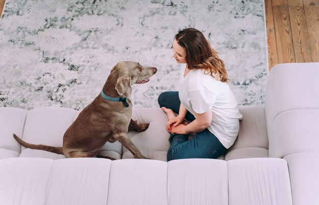 自宅で若い女性のライフスタイルの瞬間。居間で犬と遊ぶ女性