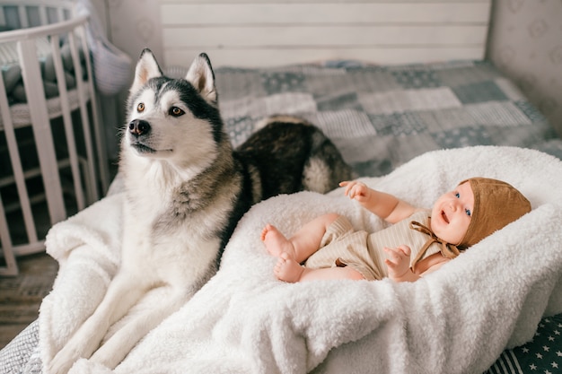 Photo lifestyle soft focus indoor portrait of newborn baby lying in stroller on bed together with husky puppy at home.