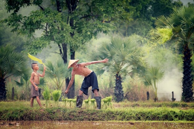 Lifestyle of Southeast Asian people in the field countryside Thailand, Farther and son