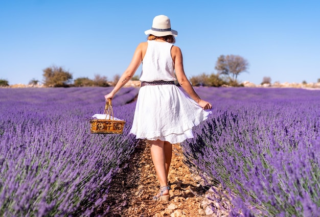 Lifestyle a woman in a summer lavender field picking flowers in a white dress