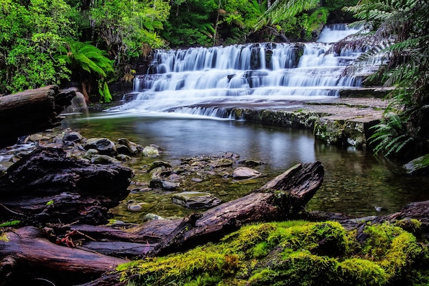 사진 호주 태즈 매니아의 미들랜드 지역에있는 liffey falls state reserve.