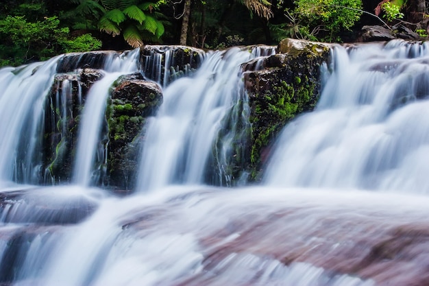 Foto liffey falls state reserve in het midlands-gebied van tasmania, australië.