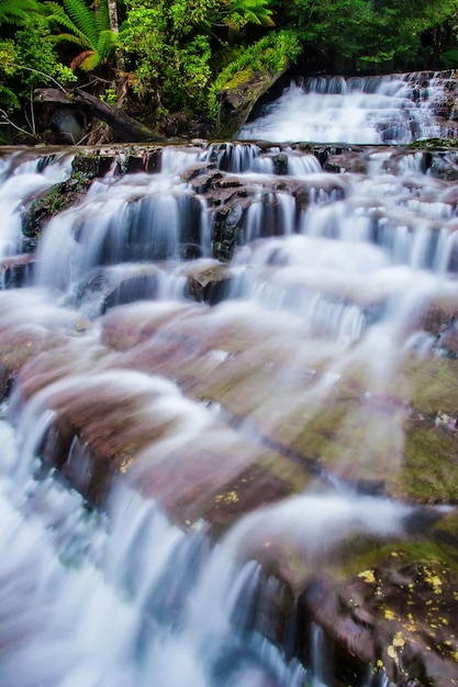 Liffey Falls State Reserve in het Midlands-gebied van Tasmania, Australië.