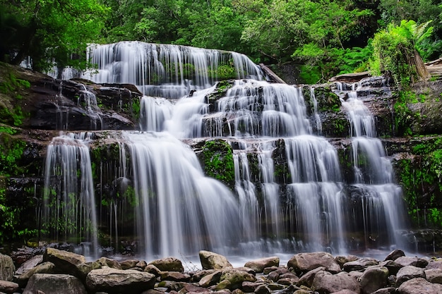 호주 태즈 매니아의 미들랜드 지역에있는 Liffey Falls State Reserve.