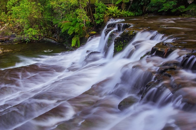 Photo liffey falls state reserve at the midlands region of tasmania, australia.