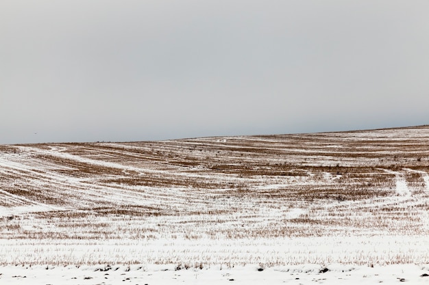 Liggende sneeuw na de laatste sneeuwval