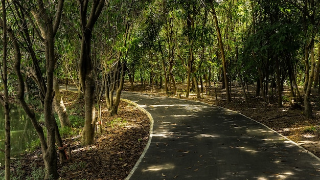 Sri Nakhon Khuean Khan Park 및 Botanical Garden의 활동을 위한 작은 도로의 빛과 그림자, Bang Kachao Sub-district, 태국 Samut Prakan의 공공 공원