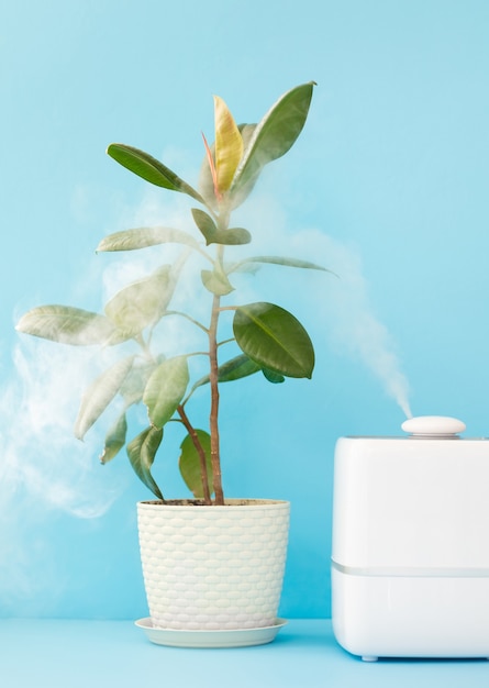 light background air freshener and humidifier in the home to clean the air and humidify and care