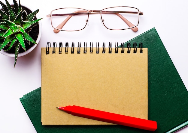 On a light background, gold-rimmed glasses, a flower in a pot, a green notebook, a red pen and a craft notebook with a place to insert text. Template. Business concept