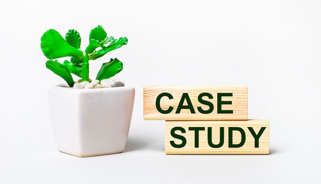 On a light background, a plant in a pot and two wooden blocks with the text CASE STUDY