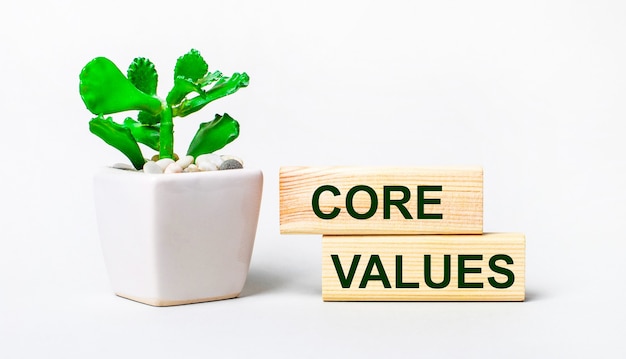 明るい背景に、鉢植えの植物と2つの木製ブロックに「COREVALUES」というテキストが表示されます