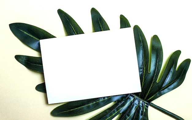 Photo on a light background there is a palm green branch and a white sheet of paper with a place to insert text. mockup