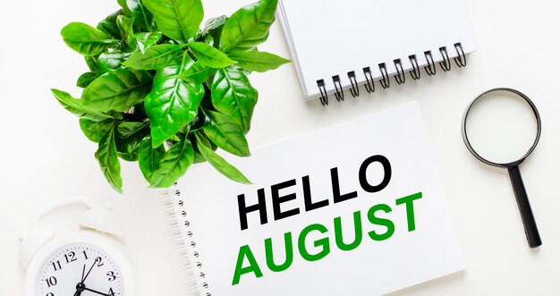 밝은 배경에는 흰색 알람 시계, 돋보기, 녹색 식물 및 HELLO AUGUST라는 단어가 있는 노트북이 있습니다.