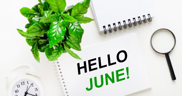 Su uno sfondo chiaro, c'è una sveglia bianca, una lente d'ingrandimento, una pianta verde e un quaderno con la scritta hello june.