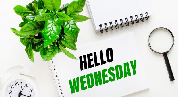 Su uno sfondo chiaro, c'è una sveglia bianca, una lente d'ingrandimento, una pianta verde e un quaderno con la scritta hello wednesday.