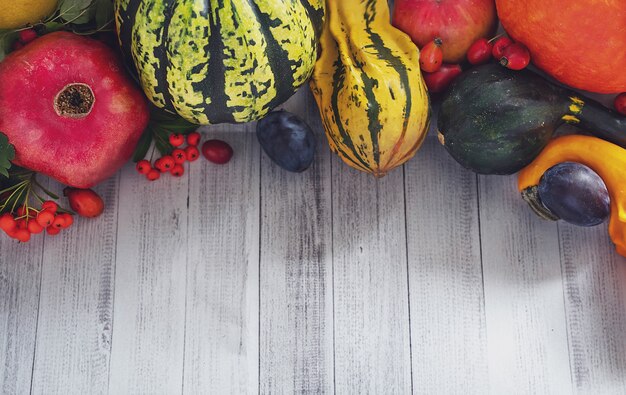 light background with autumn vegetables