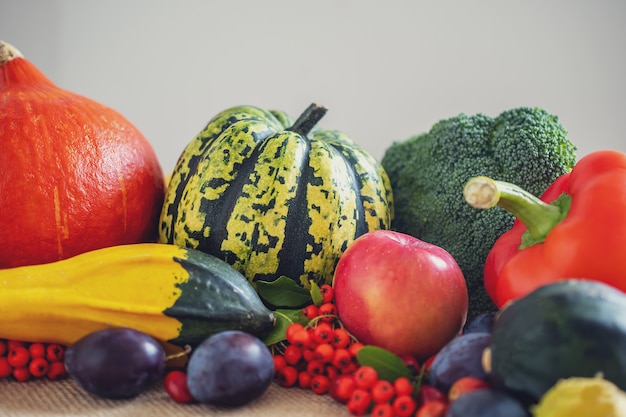 light background with autumn vegetables