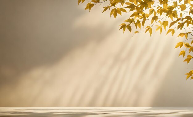 Photo a light background with shadows on the wall for product presentations