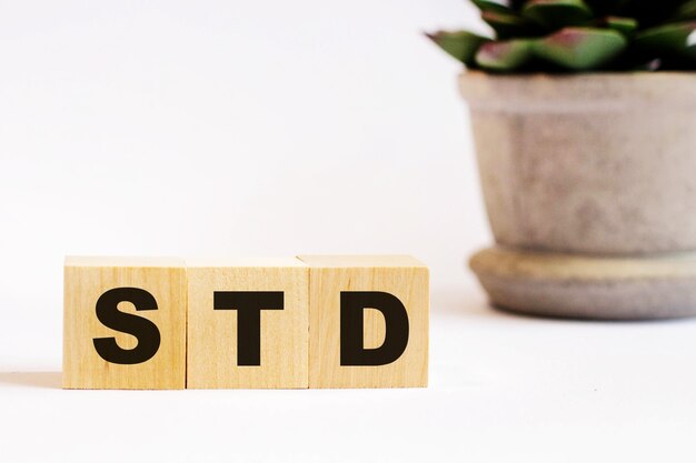 On a light background, wooden cubes with the inscription STD and a flower in a pot. Defocus