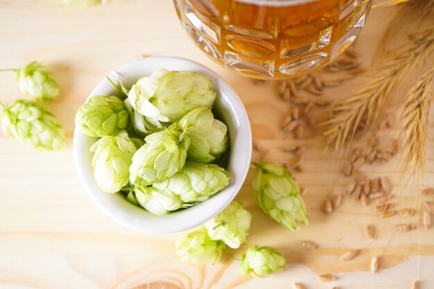 Light beer in a glass and hop cones