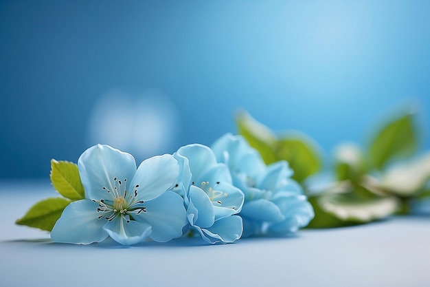 浅い青い背景に 麗な花が