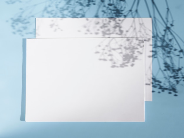 Фото Светло-синий фон с двумя белыми бланками и ветвями теней