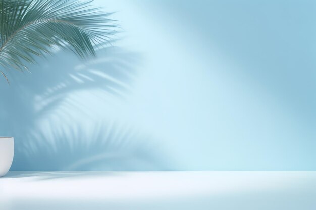 Light blue studio background with shadow from palm leaves on the wall Rays of the sun on the wall