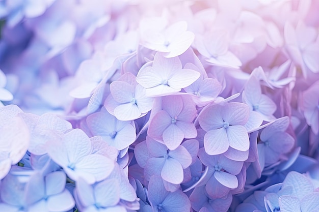 Premium Photo | Light blue and violet pastel colors create a delicate