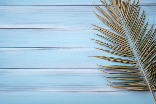 Light blue wooden background with sand and palm leaf
