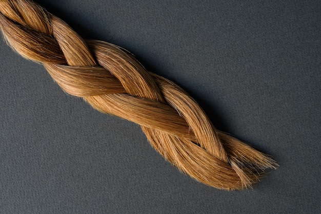 Light brown pigtail on a gray background. Healthy natural hair. Hair care concept. Close up