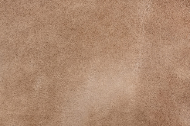 light brown smooth natural leather in small grain textured background