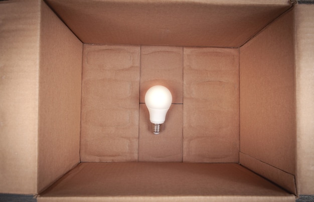 Light bulb in the cardboard box.