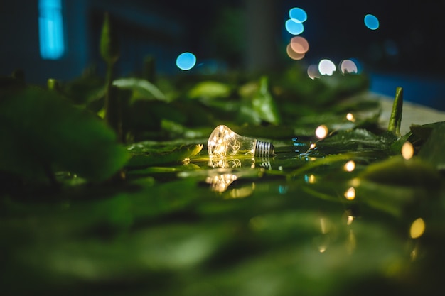 Photo light bulb fantazy, light bulb in hand, light bulb and bokeh