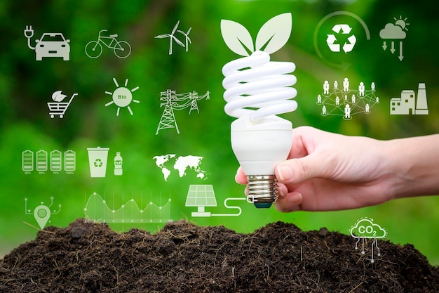 Лампочка на зеленом фоне Экологические технологии Концепция сохранения земли