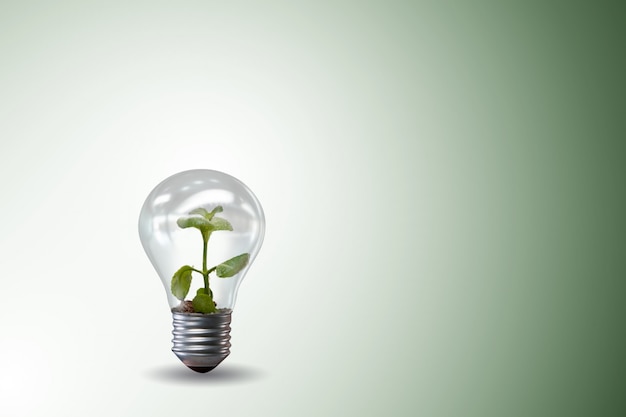 Light bulb in green environment  