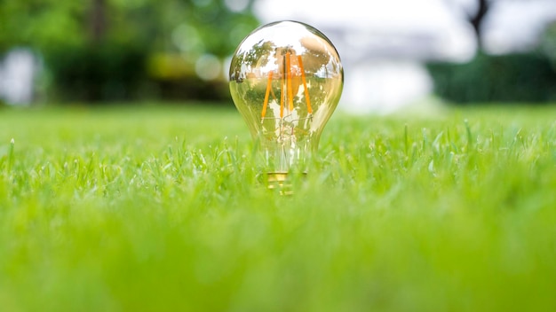 Photo light bulb in green grass save earth concept