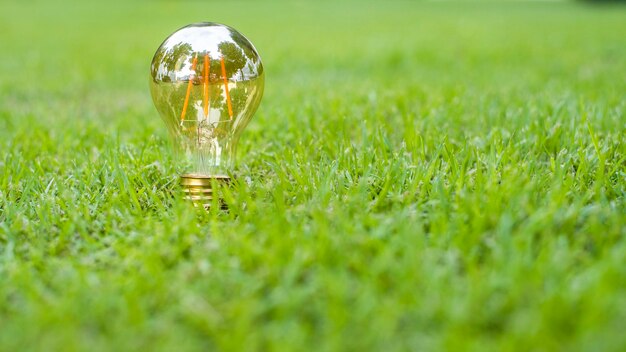 light bulb in green grass Save earth concept